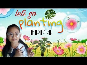 Pagtatanim ng halaman mula sa buto, school performance task grade 4