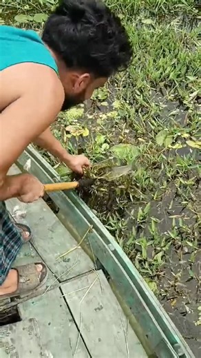 টেটা দিয়ে কীভাবে মাছ ধরে 🐟🐟 #viralvideo #fishing #fish #youtubeshorts