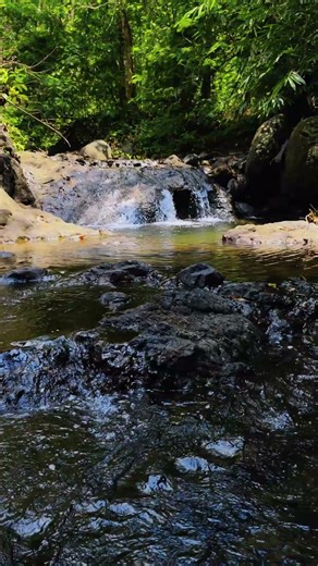 River Flowing with , Calm River Water Flow for Sleep #nature #waterfall #relaxing #asmr #water
