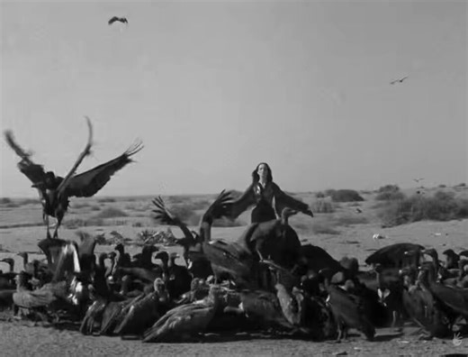 The Towers of Silence di Jamil Dehlavi (1975) è un'opera d'avanguardia in bianco e nero ambientata in Pakistan che intreccia misticismo e temi politici attraverso un linguaggio onirico focalizzato sui concetti di morte e rinascita.