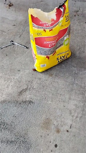 My oil mess cleanup. #oil #diy | Eugene Wright