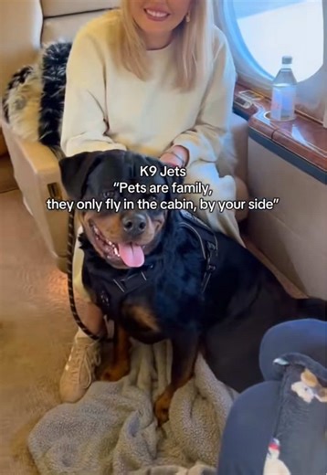 Fly with Pets Comfortably Using K9 JETS