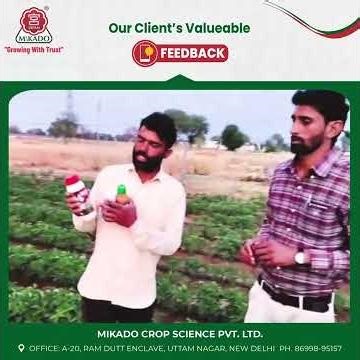 🌾 Trusted by Farmers | Real Client Testimonial | Mikado Crop Science Pvt. Ltd. 🌾