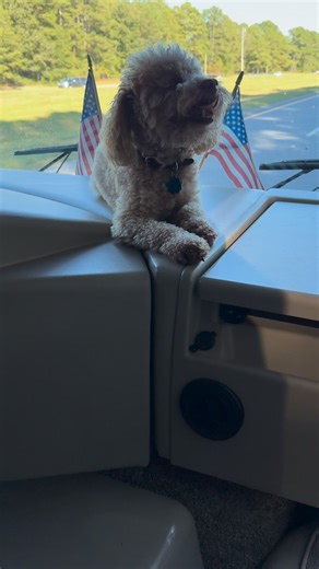 He loves RVing too!! | Jennifer McNeill