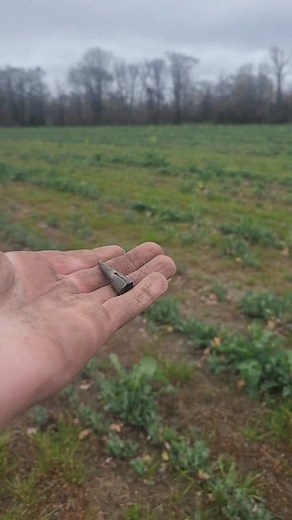 7.7K views · 272 reactions | We found a 400 year old Native American trade artifact! #metaldetecting #exploring #history #trade | RelicRiley | Facebook