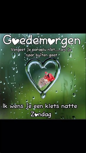Goedemorgen nog allemaal hier op Facebook mijn lieve goede Facebook vrienden, familie en fans. Vandaag Zondag 22 Februari 2026. Het is juist slecht weer buiten, Doe en Ga iets Leuks Doen wat jullie Gelukkig en Blij Maakt binnen in huis 😊 😅 🍀 Fijne Zondag Weekend iedereen toegewenst. God Bless You All en Liefs Daisy Leidelmeyer 😊 🤗 😘 😘🥰 ❤️ ❤️ 😍🍀 🌹 🌺 🌸 🌼 🏵️ 🦋 🐦‍⬛ 🪽 👼 🙏 | Daisy Leidelmeyer