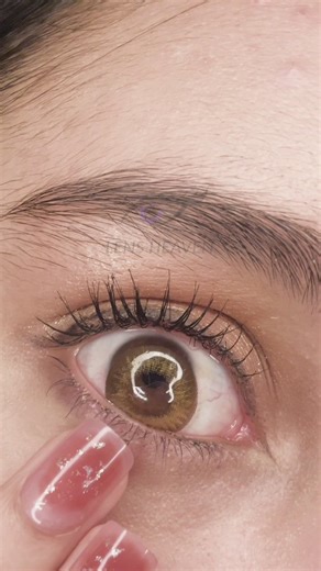 Shade: Circle Brown Order on Website OR inbox | Lens Heaven