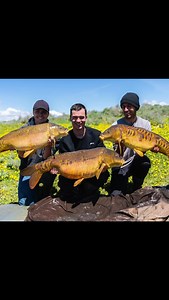 1hr of carp fishing adventure and discovery - https://youtu.be/lp8jCDNbQr8 ❤️👌 | Fish With Carl