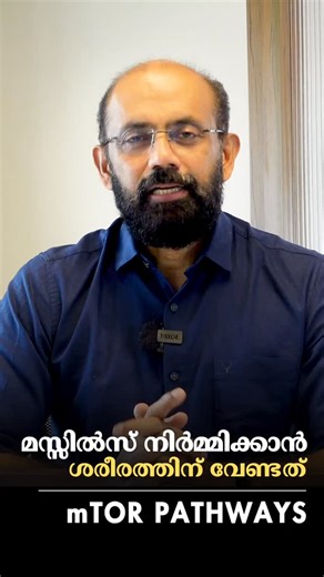 Harmony Wellness Concepts on Instagram: "The mTOR pathway is the body’s central hub for muscle growth and recovery. Protein intake, strength training, and hormonal signals all activate this pathway, telling your muscles to repair, rebuild, and grow stronger. Understanding how these factors work together can help you optimize training, nutrition, and long-term performance."