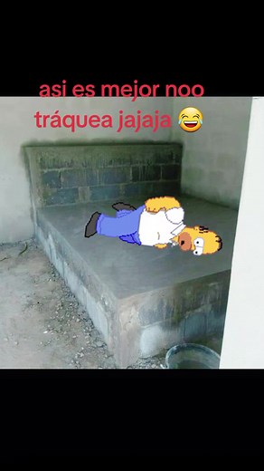 Videos de la toti np (@nplatoti) con “sonido original - CQ”