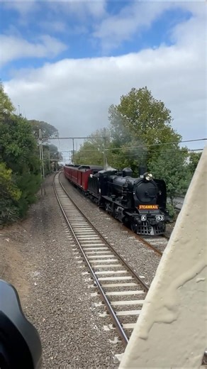K153 & Y112 steam under a footbridge #puffingbilly #railvlogger #railroad #railtrack #railway