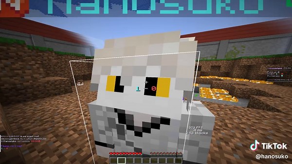 Exploring Minecraft Communities and Gameplay Strategies