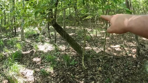 We followed a 160-year-old Civil War map & you won’t believe what we found