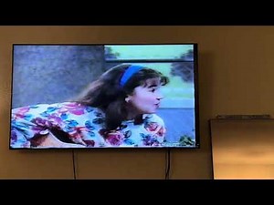 Barney & Friends - The Crocodile Song