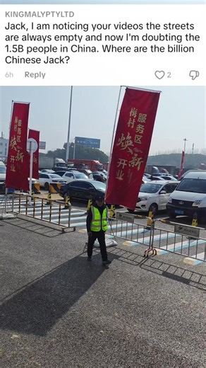Exploring the Presence of Chinese in South Africa