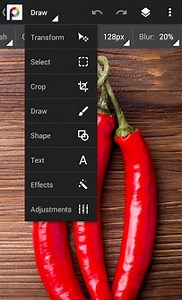 Mgi Photosuite 4 Free Download