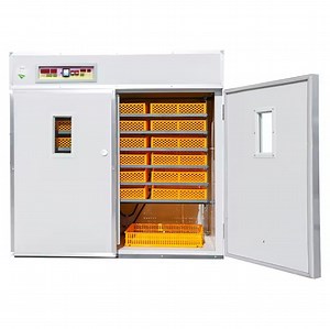[Hot Item] CE Approved Full Automatic Quail Incubator/Quail Egg Incubator