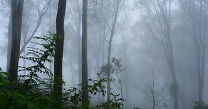 Comment se forme le brouillard ?
