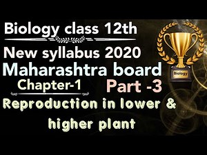 part-3 ch1 Reproduction in lower & higher plants class 12 science new syllabus maharashtra board- 21