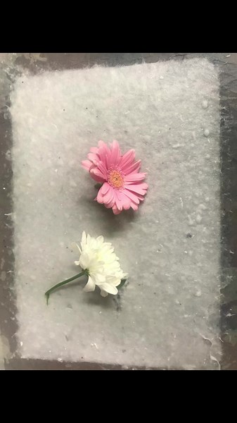 First try handmaking paper 🗒️ it was so fun to begin this process #papermaking #papermakingprocess #handmadepaper #flowerpaper