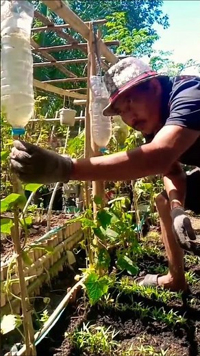 Using drip irrigation. #nature #gardening #farming