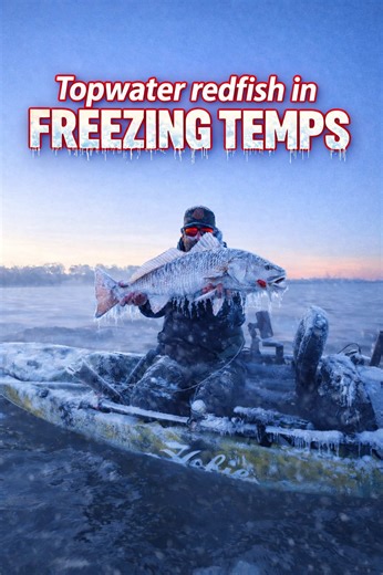 Redfish on topwater in the freezing cold 🥶 #kayakfishing #florida #redfish