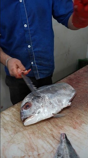 Watch This Before You Cut Fish Again – Game Changing Technique