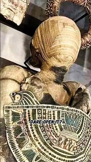 The Untouchable Mummy: The Mystery of Bashiri