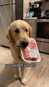 how could you say no 🥺 #doggo #friends #dog #doglover #doglovers #doglife #dogwalker #dogstagram #dog #fashion #goldenretriever #cutedog #bigdog #goldenretrieverlovers #pet #puppy #puppies #puppyvideo #puppyvideos #dogs #dogsofinstagram #bigdogs #goldenretrieversofinstagram #goldenretrievers #goldenretrieverlovers #cutedogs #funnydog #funnydogs #dogvideos #pets #viral #viralpost #viral2023 #viralshorts #viralreels2022 #reels #reelsfb #reelsviral #reelsinsta #reelsvideo #reelsfacebook #reelsinst