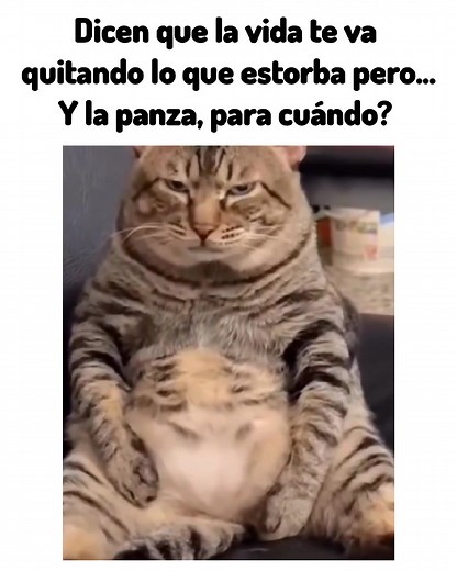 82K views · 798 reactions |  | Videos Chistosos | Facebook