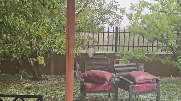 Chaos in New Mexico Today! Giant Hail Storm Destroy Homes, Cars in Albuquerque