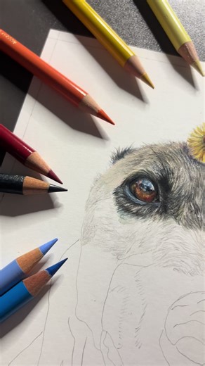 Rachelle Quigley Animal Art on TikTok