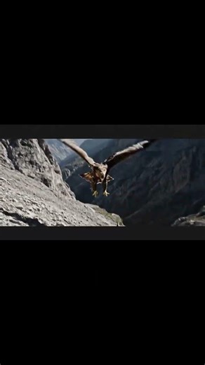 “Eagle Attacks Mountain Goat 😱 | Nature’s Power” #birds #wildlifeentertainment #animals