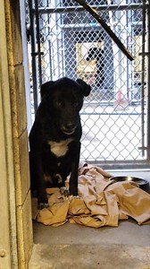 5K views · 73 reactions | RESCUED & OUT OF BUILDING!10/17 RESCUE...