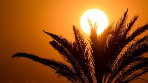 Canicule : 2025 a déjà battu un record de l’été 2003… La première moitié de l’été a été la plus chaude jamais enregistrée en France