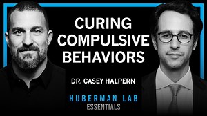 Essentials: Compulsive behaviors & deep brain stimulation | Dr. Casey Halpern