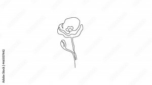 Animation of one line drawing beauty fresh herbaceous plant for home decor wall art. Printable decorative poppy flower for symbol of remembrance. Continuous line self draw animated. Full length motion