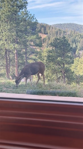 The view from my desk never gets old. | Jackie White, Realtor