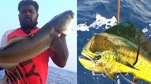 695K views · 9.4K reactions | Catching a Monster Cobia & Mahi Mahi fish in the Deep sea | Kadal Raasa Fishing | Facebook