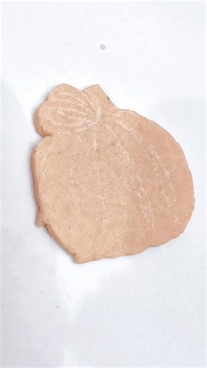 Want to learn how to decorate this adorable pumpkin cookie? Come join me on November 12th at @bakehousemn and decorate a set of beautiful fall cookies!! Link for classes can be found in my bio! All natural colors by @selefina.spices #fall #fallcookies #pumpkin #pumpkincookies #decoratedcookies #royalicing #reels #dyefree #homemade | Minnie's Cookies