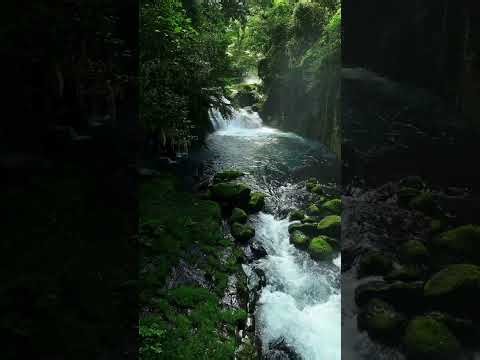 Rainforest Waterfall Sounds 🌿 Deep Jungle Relaxation for Sleep, Focus & Calm (1 Hour)