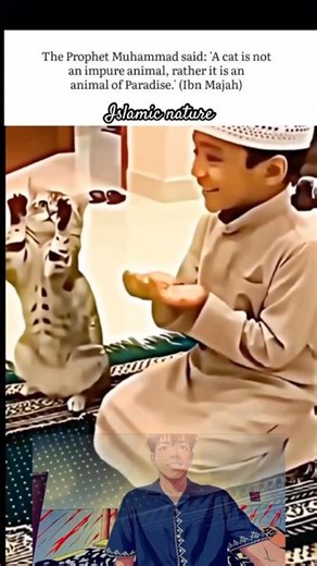 Beautiful Cat Praying - Beautiful Cat video - #shorts