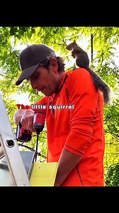 1.9K views · 6.8K reactions | This guy fell in love with someone. #animals #tiktok #foryou #cute #pet #knowledge #seaotter | PriyaMalhotra | Facebook