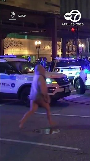 2 Chicago police officers among 4 injured in Loop crash; driver in custody: CPD
