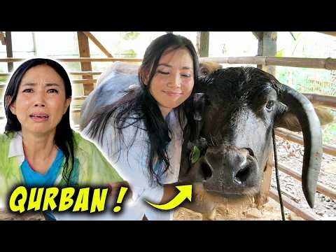 SO SAD! HEARTBROKEN AS MY BELOVED WATER BUFFALO IS SACRIFICED... WATER BUFFALO PART 2