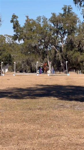 Sadé Cain on Instagram: "Just getting home, long day with the ponies! But Lisa Bruegel’s Viktore made his eventing debut at Barnstaple Derby and took home the blue on a 29.4 🎉 he found his strides out in the open, and really enjoyed himself! Llama and I had our always practice in the sandbox, gave me a great warm up , then the cha cha slide took over.. thats fine since he was a galloping machine today, never felt him pull me to the jumps so well! We ended in 2nd with a double clear! Feeling gr