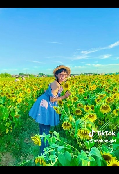 #ひまわり #ひまわりの丘公園 #兵庫県 #小野市 #ひまわり畑