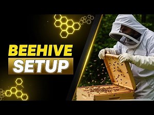 How to Set Up a Beehive for Beginners (Full Guide 2026)