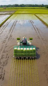 Smart Machines Rice Transplanter 🚜🌾 | X-Vans