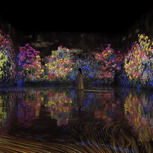 On view at “teamLab Future World” ArtScience Museum, Marina Bay Sands, Singapore Permanent https://www.teamlab.art/e/artsciencemuseum/ ・ “Continuous Life and Death at the Now of Eternity” The flowers repeat the cycle of life and death in perpetuity, and the places where they grow change. When people touch the flowers, the petals scatter, and when they stand still, more flowers begin to grow. The flowers change in the flow of time. The world of the artwork changes with the real flow of time of it